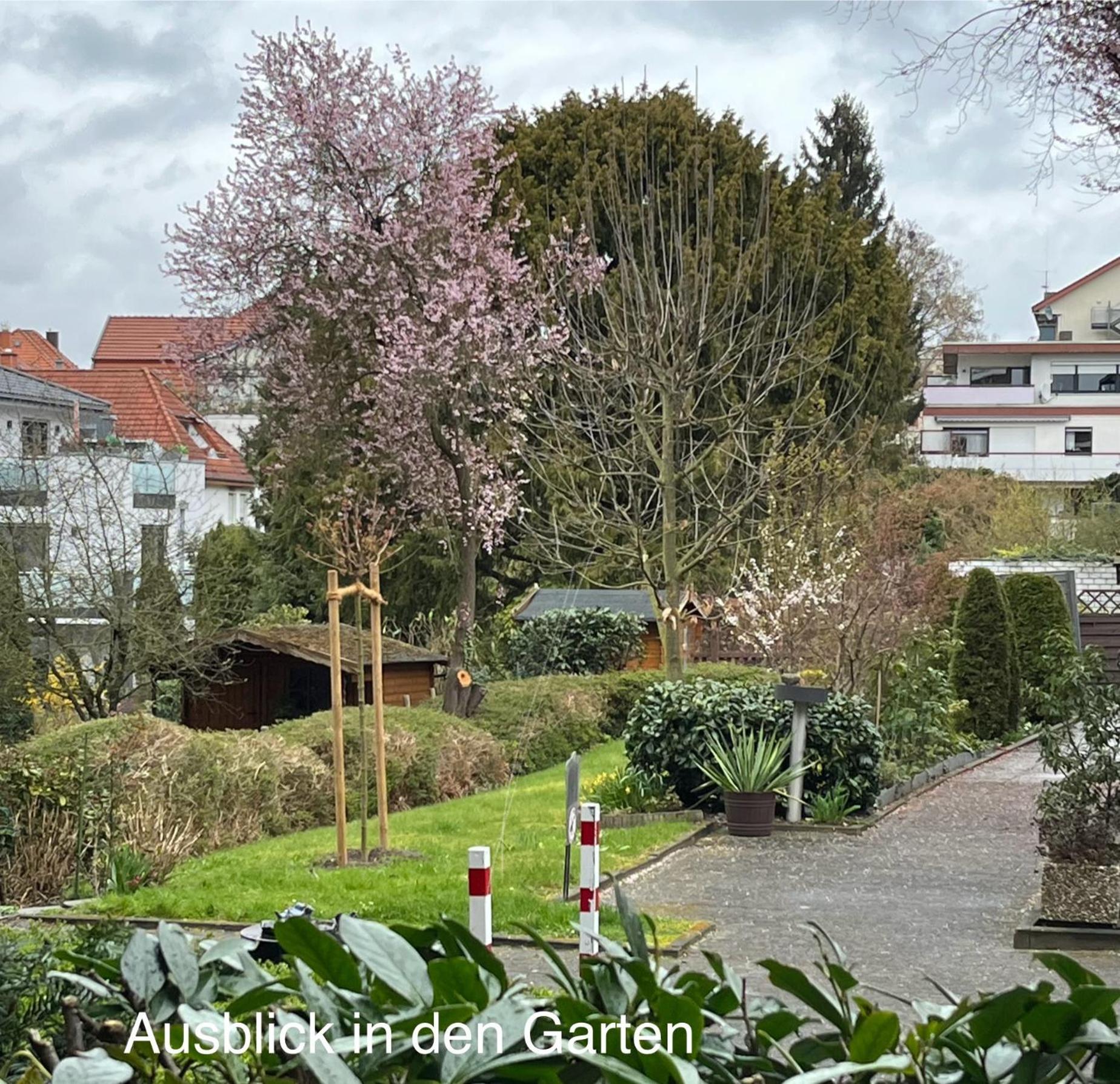 Appartementresidenz Am Kurpark - Ferienwohnungen Mit Pool & Sauna & Garage Bad Salzuflen Rom bilde